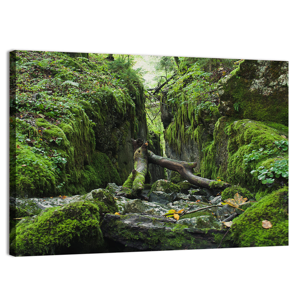 Kammersee Mossy Cleft Wall Art