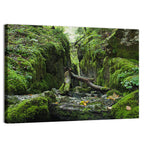 Kammersee Mossy Cleft Wall Art