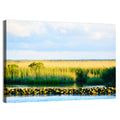 Louisiana Bayou Marsh at Golden Hour Wall Art