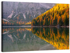Braies Lake Golden Reflection Wall Art