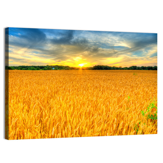 Wheat Field Sunset Wall Art