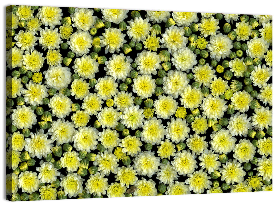Yellow Chrysanthemum Bloom Pattern Wall Art