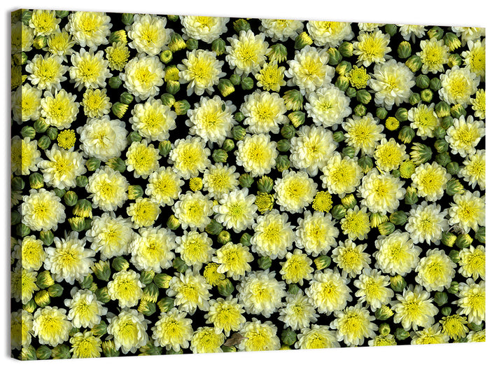 Yellow Chrysanthemum Bloom Pattern Wall Art as a canvas print