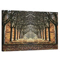 Danish Autumn Tree-lined Path Wall Art