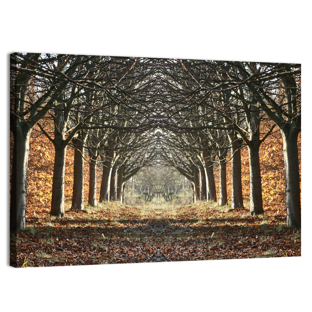 Danish Autumn Tree-lined Path Wall Art
