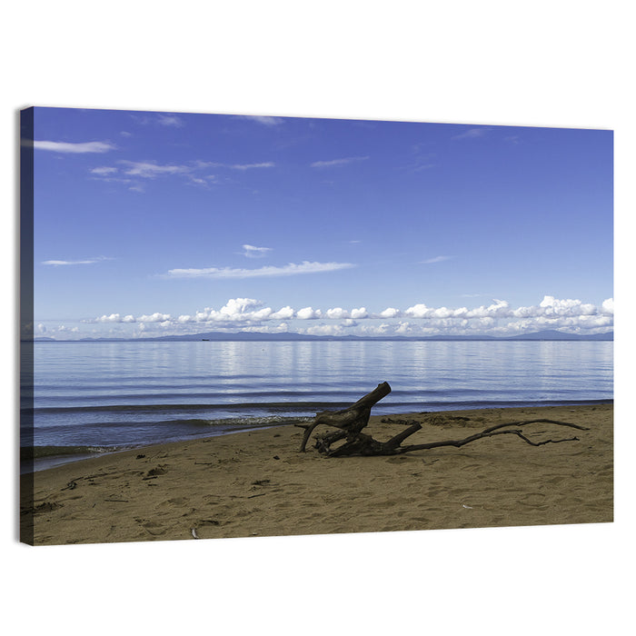 Shallow Lake Khanka Wall Art as a canvas print