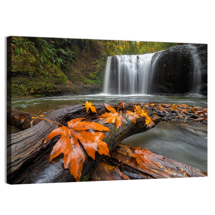Clackamas Waterfall with Maple Leaf Wall Art as a canvas print