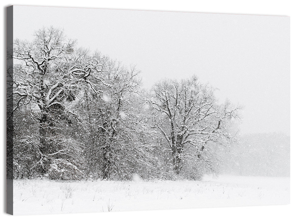 Foggy Winter Trees Wall Art