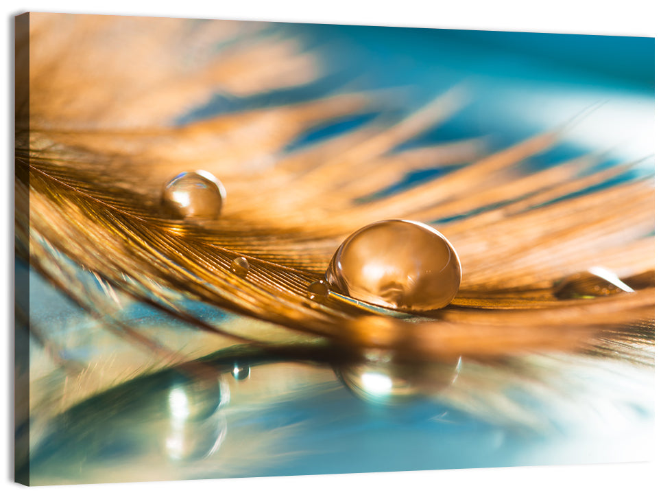 Golden Feather with Droplets Wall Art, canvas print, landscape