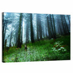 Misty Green Pine Forest Wall Art