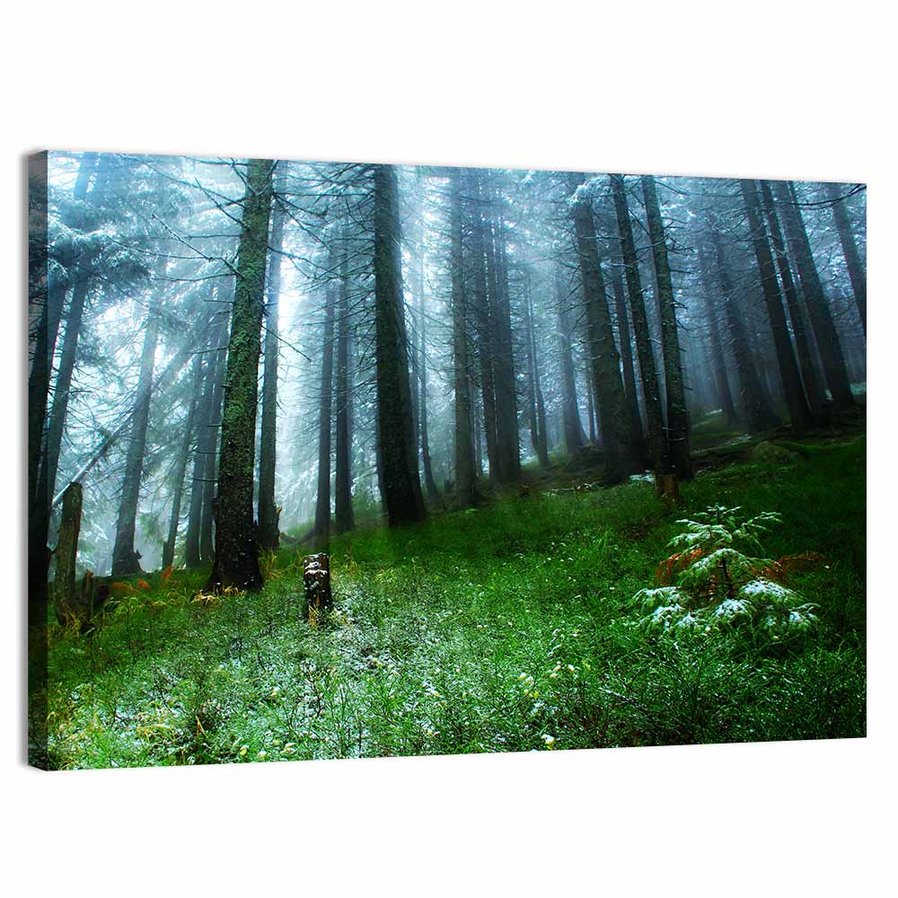 Misty Green Pine Forest Wall Art