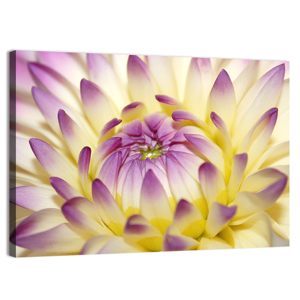 Dahlia Macro Portrait Wall Art, canvas print, landscape