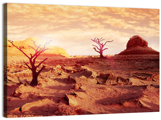 Dried Desert Wall Art