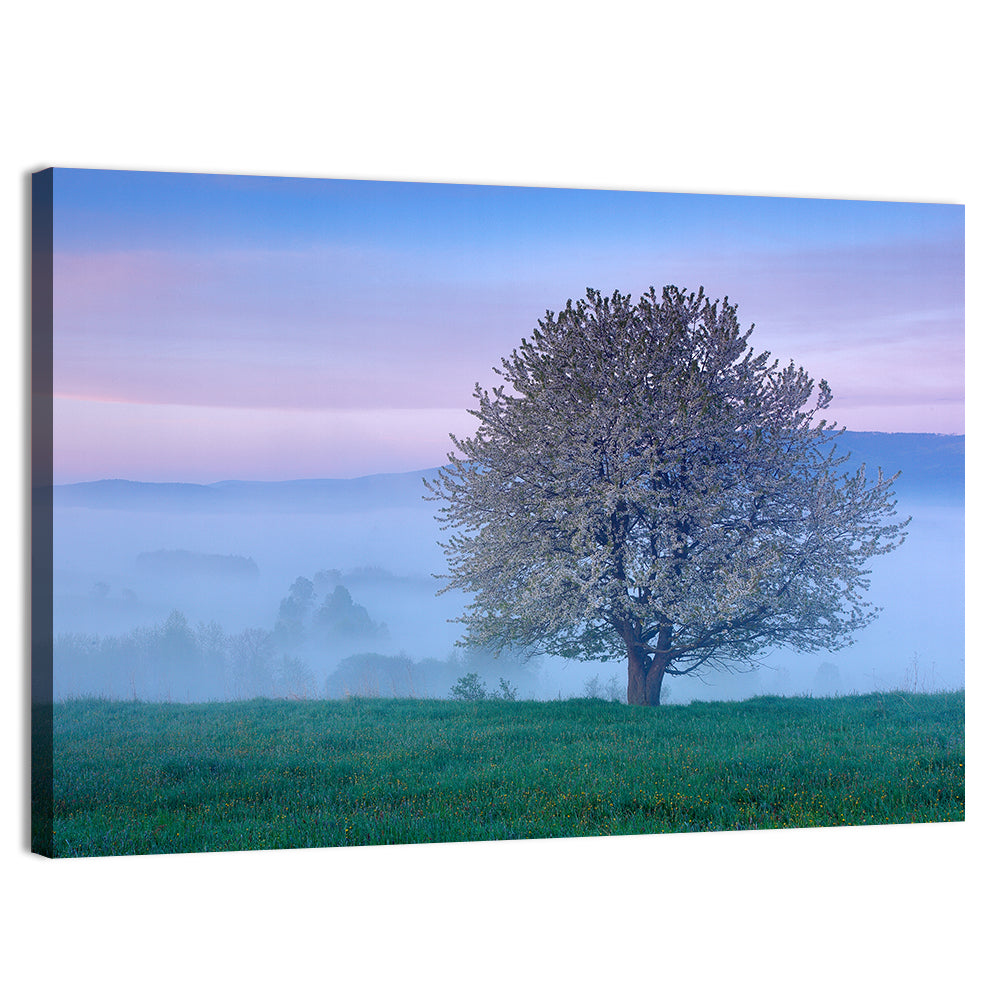 Misty Sumava Mountain Tree Wall Art, canvas print, landscape