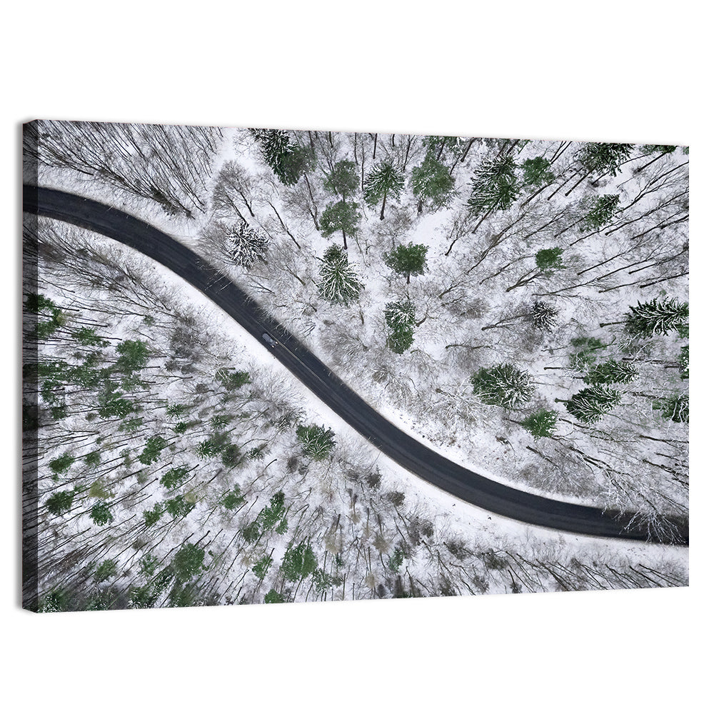 Snowy Forest Road Wall Art, canvas print, landscape