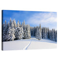Snowy Mountain Forest Path Wall Art