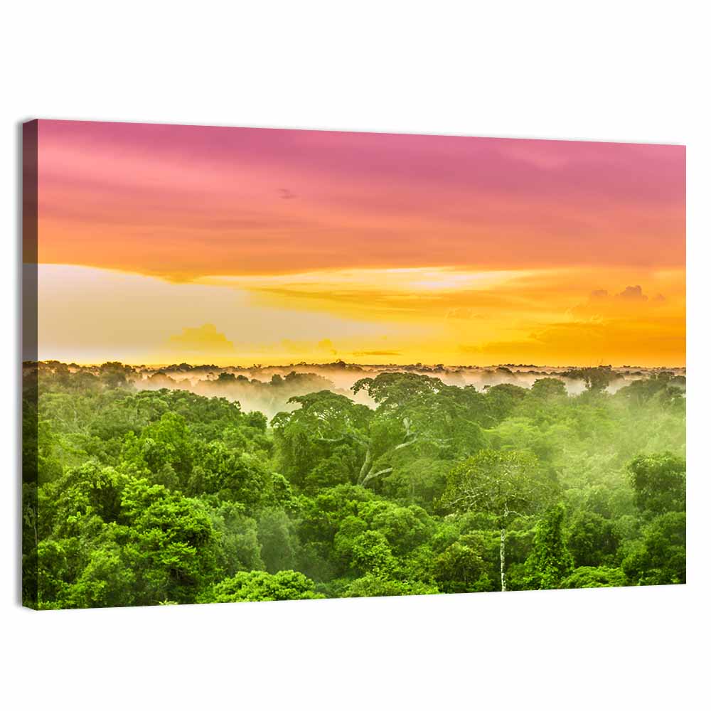 Amazon Rainforest Sunset Canopy Wall Art, canvas print, landscape