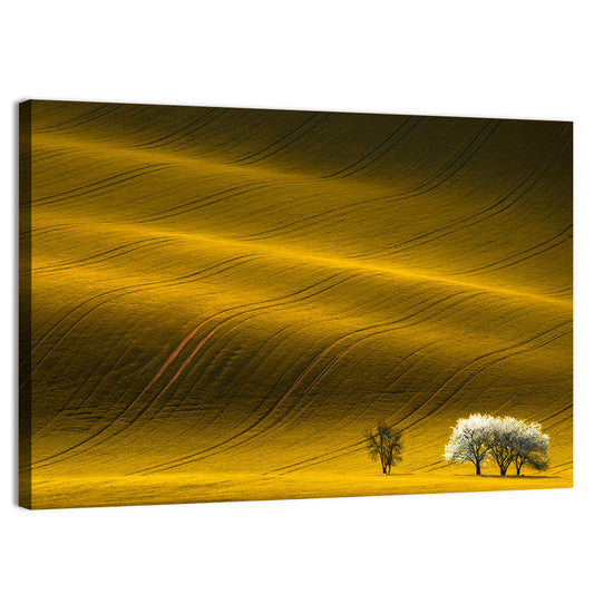 Wavy Rapeseed Field Wall Art