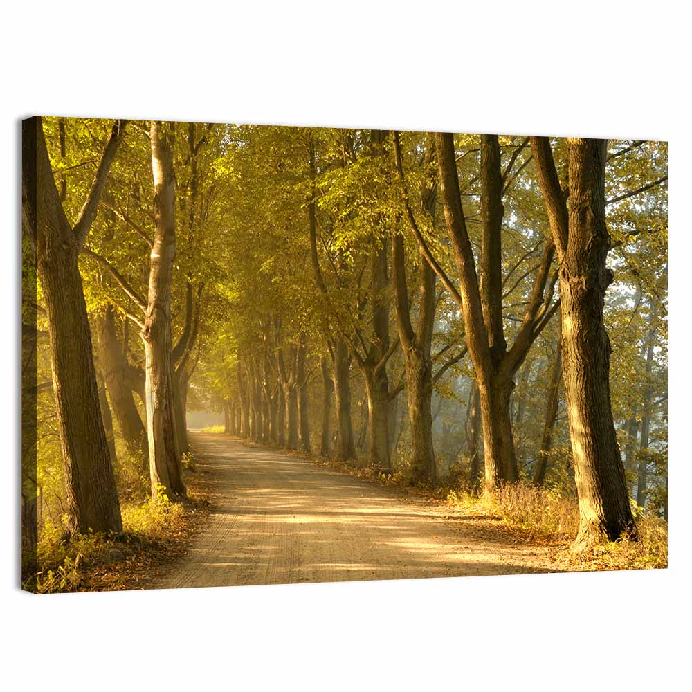 Autumn Road Through Golden Forest Wall Art, canvas print, landscape
