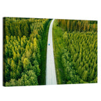 Blue Car on Forest Road Wall Art