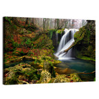 Cheile Nerei Mossy Waterfall Wall Art