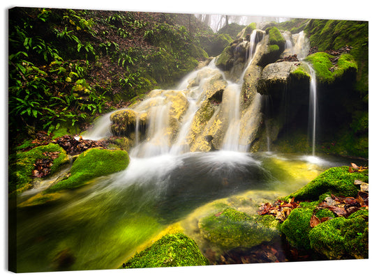 Waterfall in Cheile Nerei Wall Art