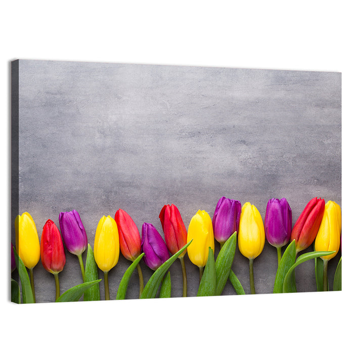 Row of Multicolored Tulips Wall Art as a canvas print
