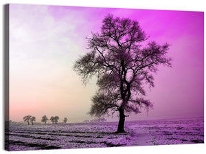 Winter Morning Snow Wall Art