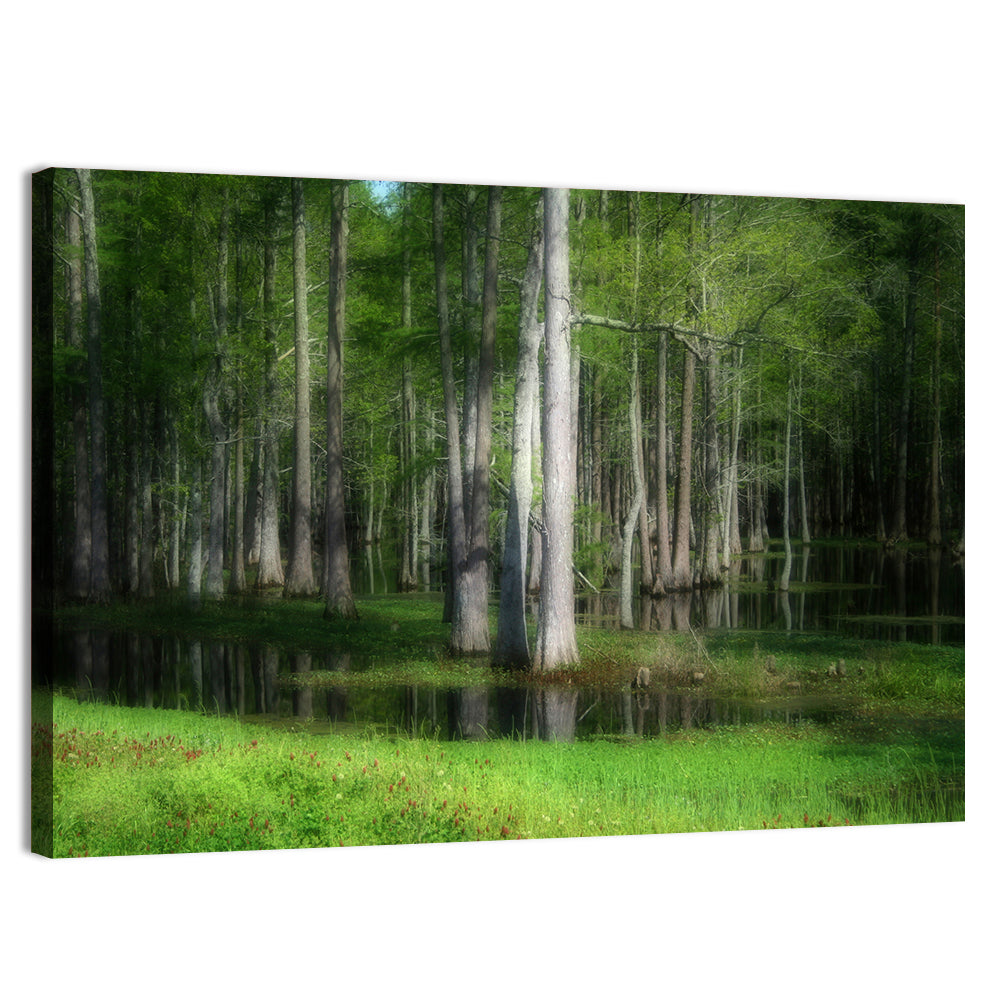 Lush Cypress Swamp Wall Art, canvas print, landscape