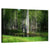 Lush Green Swamp Wall Art