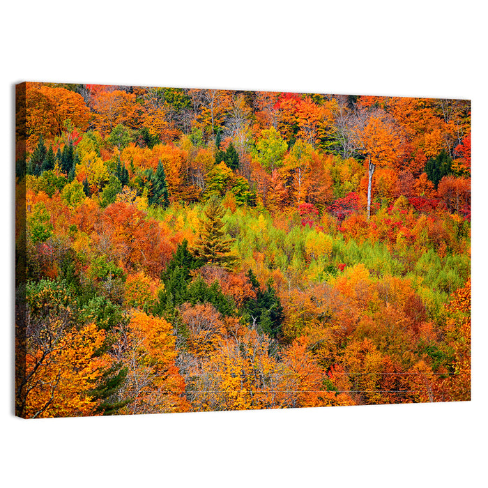Vermont Autumn Mountain Forest Wall Art as a canvas print