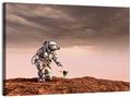 Martian Seedling Concept Wall Art