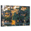 Lake Martin Cypress Reflection Wall Art