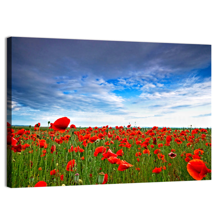 Red Poppy Field Wall Art as a canvas print