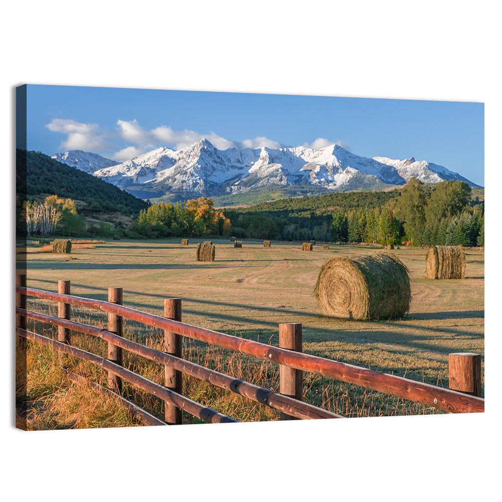 Colorado Hay Bales Wall Art