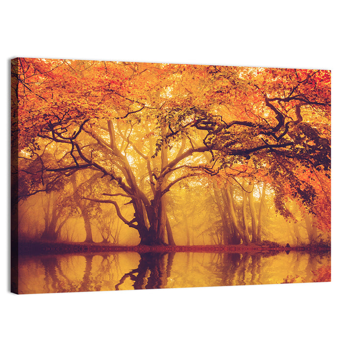 Golden Mist Forest Reflection Wall Art as a canvas print