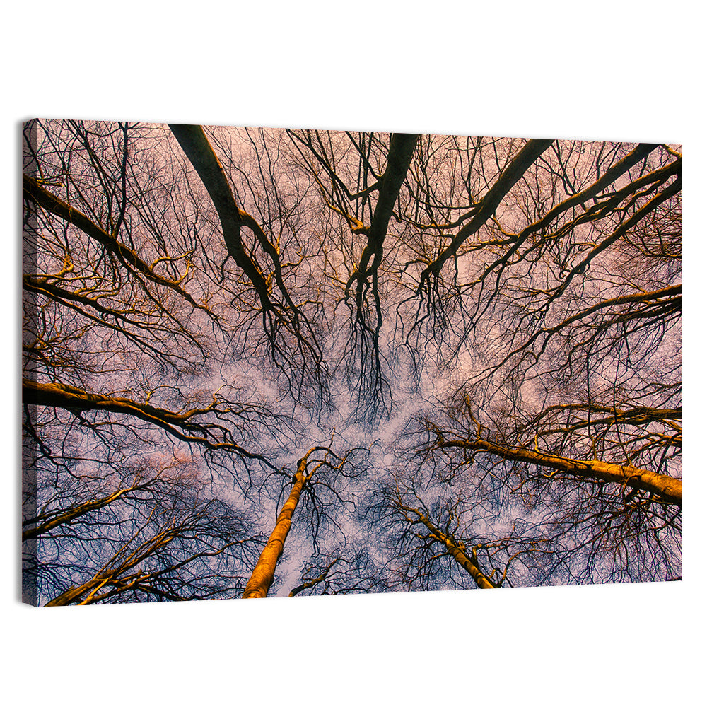 Misty Forest Canopy Wall Art, canvas print, landscape