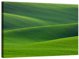 Green Wheat Fields Wall Art