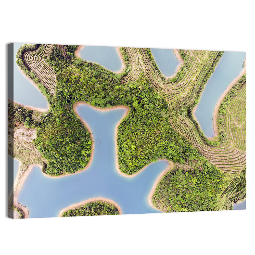 Thousand Island Lake Aerial View Wall Art, canvas print, landscape
