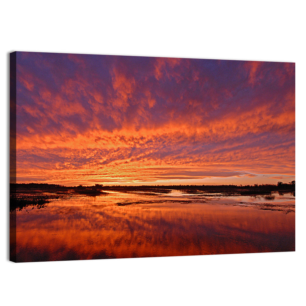 Louisiana Wetland Sunset Wall Art