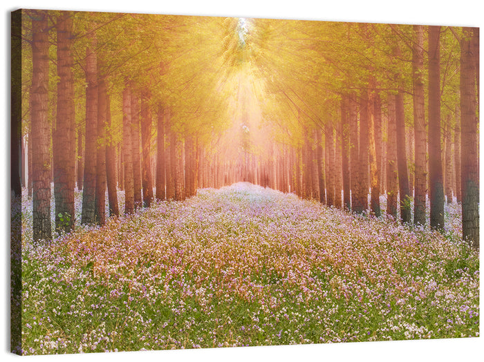 Golden Morning Forest Path Wall Art as a canvas print