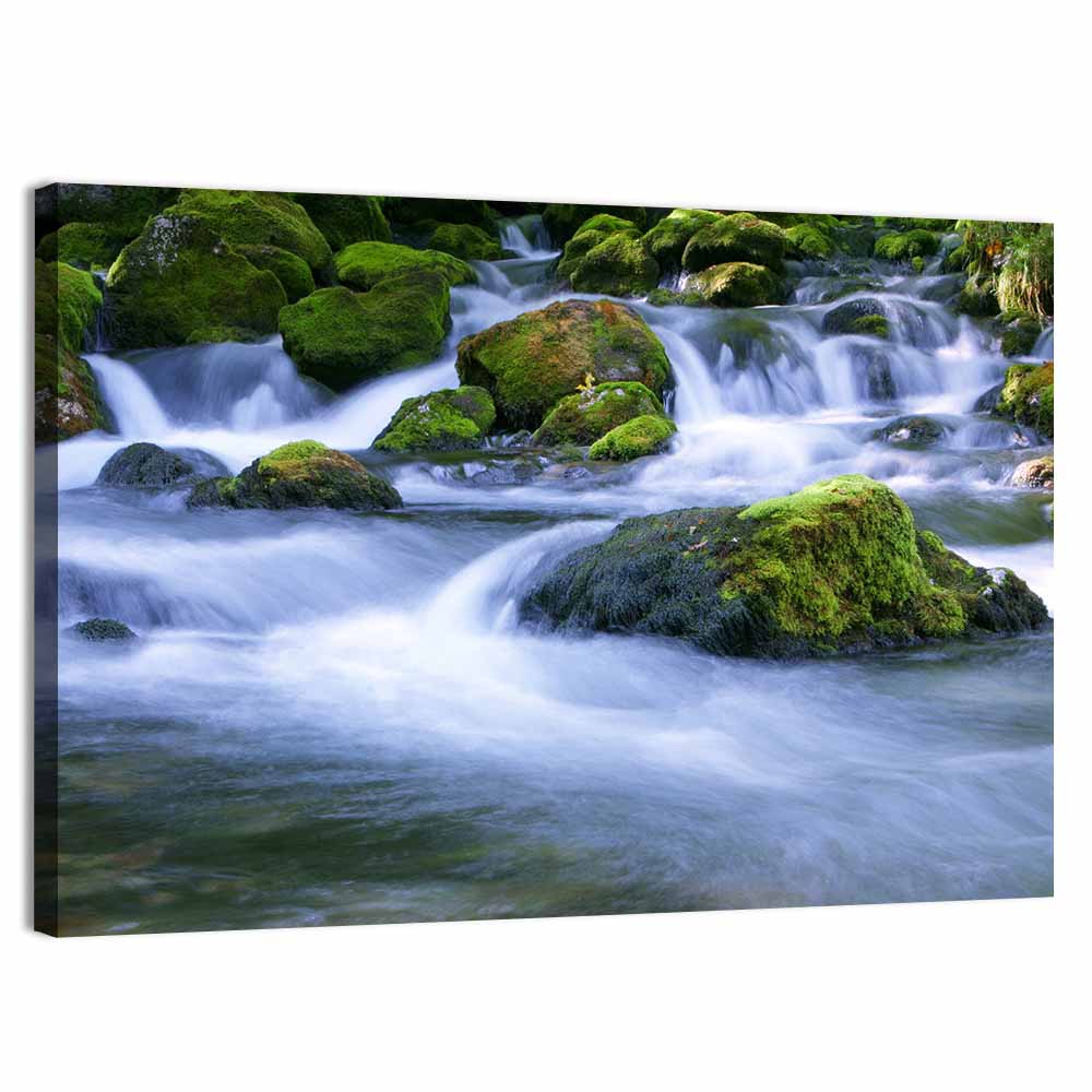 Mossy Forest Stream Wall Art
