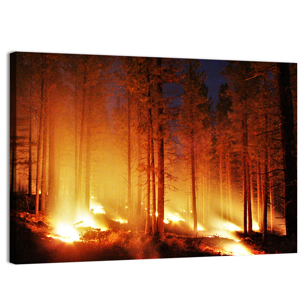 Night Forest Fire Wall Art