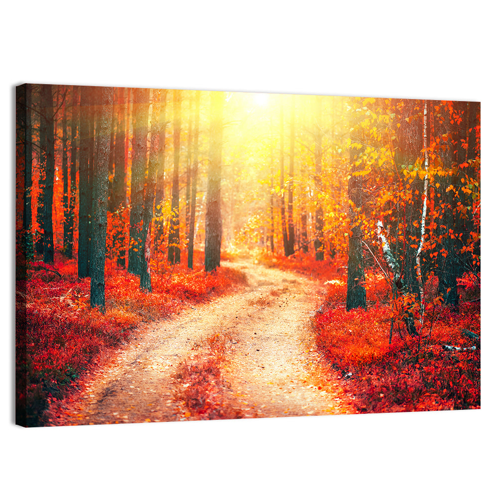 Golden Path Through Autumn Woods Wall Art