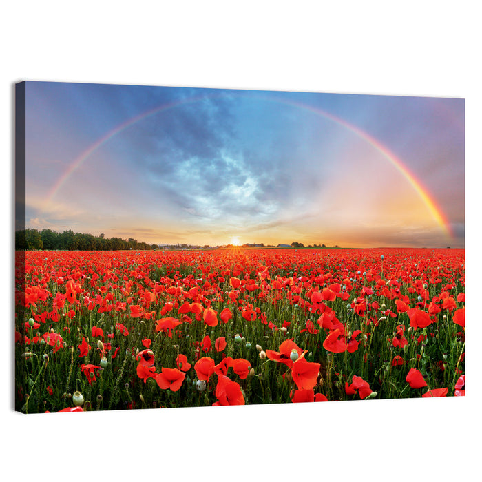 Poppy Field with Double Rainbow Wall Art as a canvas print