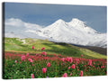 Caucasus Spring Wildflower Meadow Wall Art