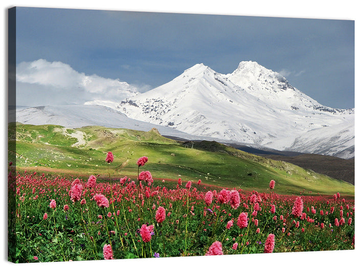 Caucasus Spring Wildflower Meadow Wall Art as a canvas print