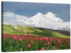 Caucasus Mountain & Spring Wall Art