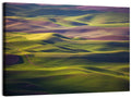 Palouse Farmland at Golden Hour Wall Art