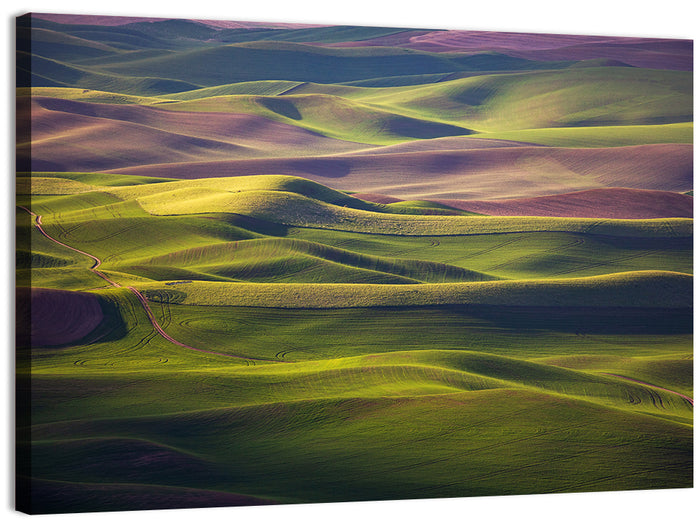 Palouse Farmland at Golden Hour Wall Art as a canvas print